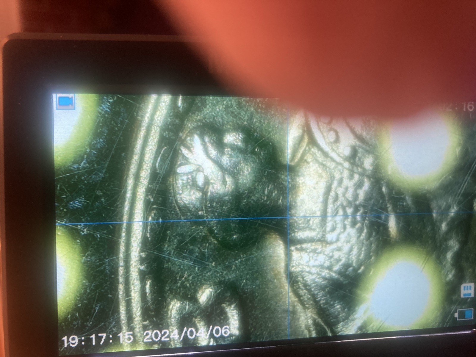 ( 1919-P Standing Liberty Quarter ~ AU++ Cndtn ~    Full Head. Strong Date.