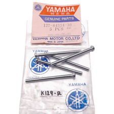 Yamaha TY50 YL YG RD50 FS1 XS DT Screw Tail Lamp Lens 5pcs NOS