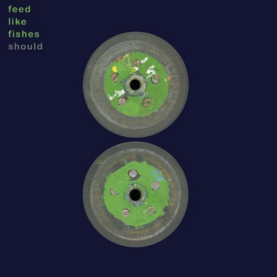 #ad Should Feed Like Fishes Green Vinyl Record $65.99