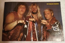 WCCW WORLD CLASS CHAMPIONSHIP WRESTLING CENTERFOLD #2 1984 FREEBIRDS TERRY GORDY