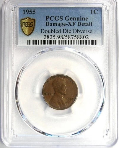 Lincoln Wheat Small Cent Bronze BN 1955 Doubled Die Obverse PCGS XF Detail
