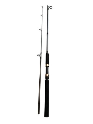 Hurricane Seahawk 7ft Spinning Rod 2pc