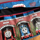 Thomas & Friends Wooden Railway System Carry Bag Case Train Learning Curve — photo 6