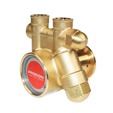 PROCON 101A100F11BA - 3/8" NPT Brass Rotary Vane Pump Series 1