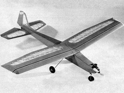 Evolution 51'' or 74'' Wingspan RC Model Airplane Printed Plans Templates