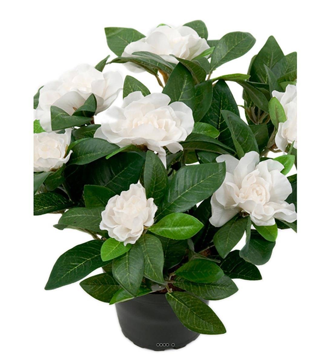 Gardenia artificiel 25 cm pour décoration de table basse et bureau lumineux