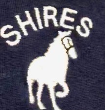 Vintage Russell Athletic 1/4 Button Blue T-Shirt Sz XL Shire Horses Made In USA
