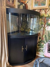 aquarium setup, juwel aquarium, trigon190, with filter, pump, lights