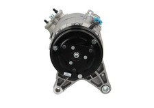 BV PSH Kompressor, Klimaanlage Delphi New 090.835.066.240