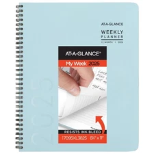 2025 Planner, Weekly & Monthly, 8-1/4" x 11", Large, Contemporary Lite, Sky B...