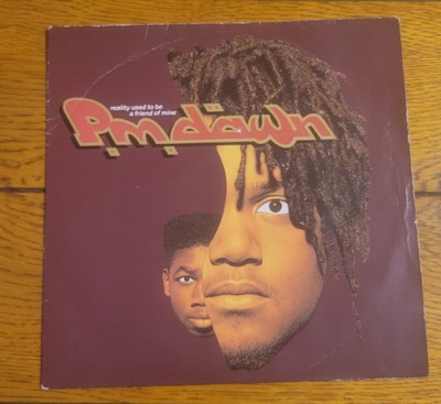 P.M. Dawn - Reality Used To Be A Friend Of Mine / Comatose - 1992 7  Record