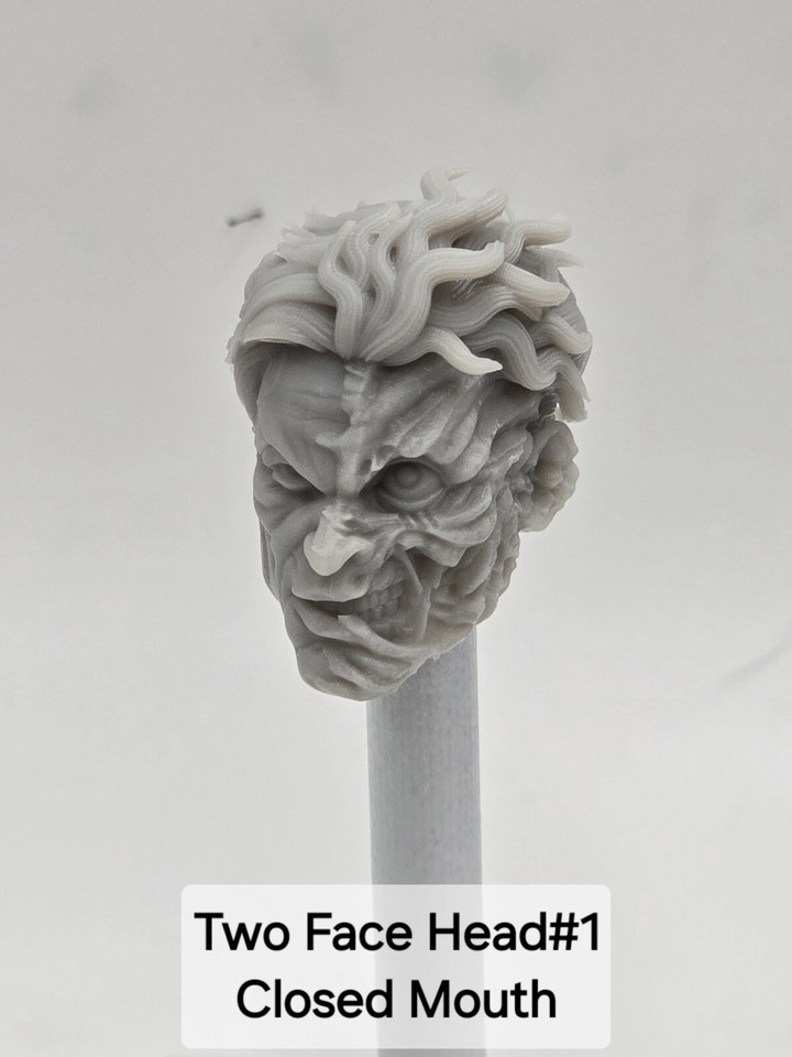 3d Print TWO FACE HEAD#1 1:10 7