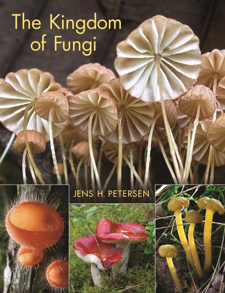 Jens H Petersen | The Kingdom Of Fungi | Buch | Englisch (2013)-image