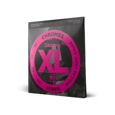 D'Addario ECB81S 45-100 Regular Light, Short Scale, Flatwound,  XL Chromes Bass