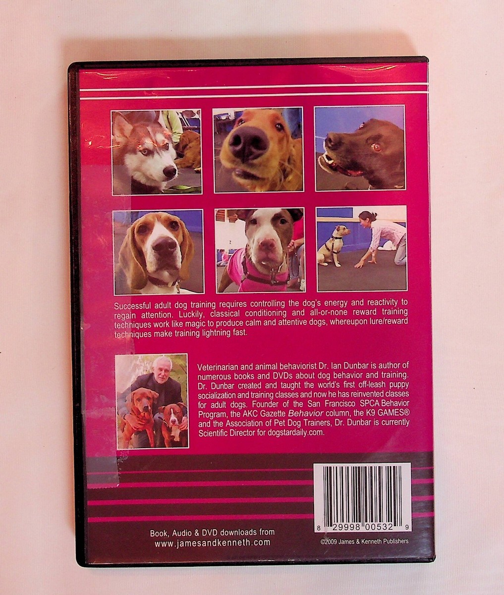 Animal Behavior Sf Spca Behaviorist SIRIUS Adult Dog Training By