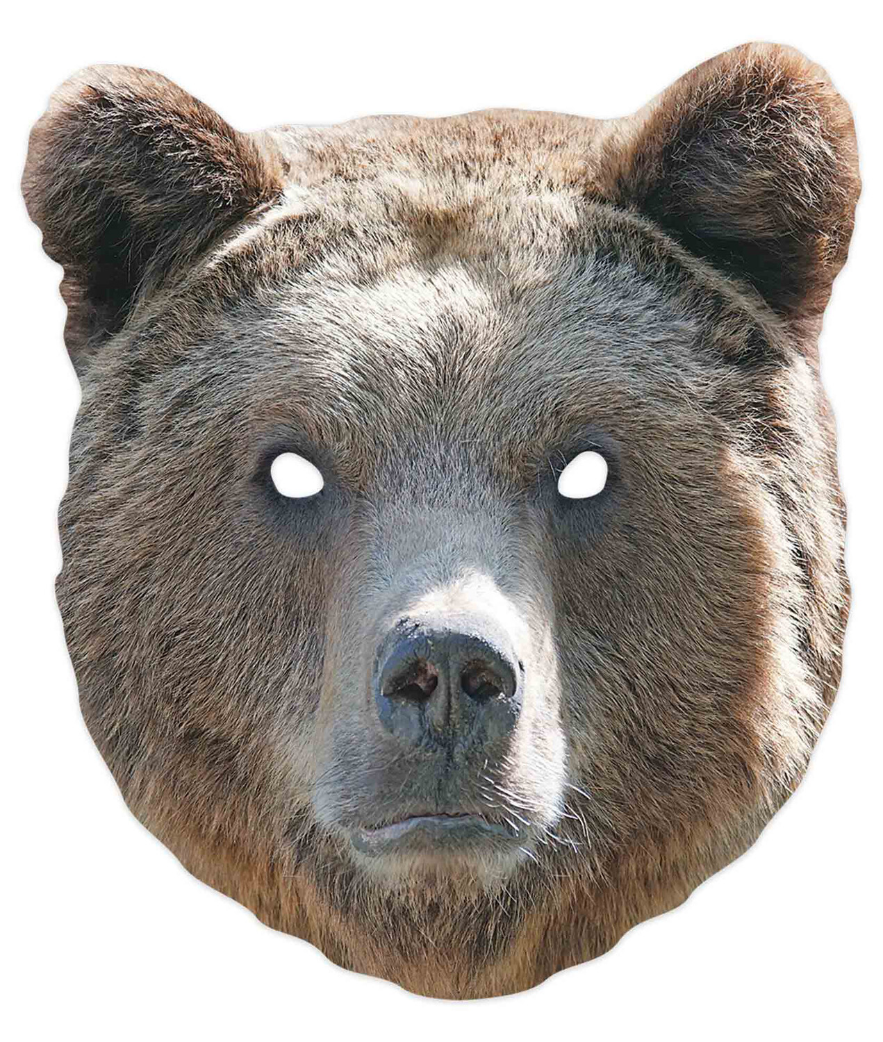 Bear Animal 2D Single Card Party Mask - World Book Day Wildlife Grizzly