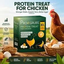 Dried worms for chickens,ducks.geese,quails, all 100  black soldier fly larvae