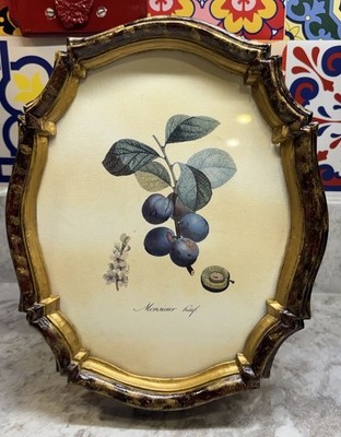 French Fruit Antique Print With Ornate Wooden Octagonal Frame With Gold 9 X 11