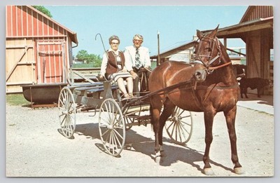 Sauder Museum Farm & Craft Village Ohio Vintage Photochrome Postcard