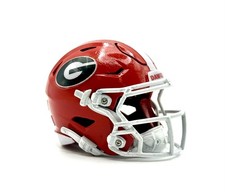Custom Georgia Bulldogs 3D Pocket Pro Helmet Riddell Helmets