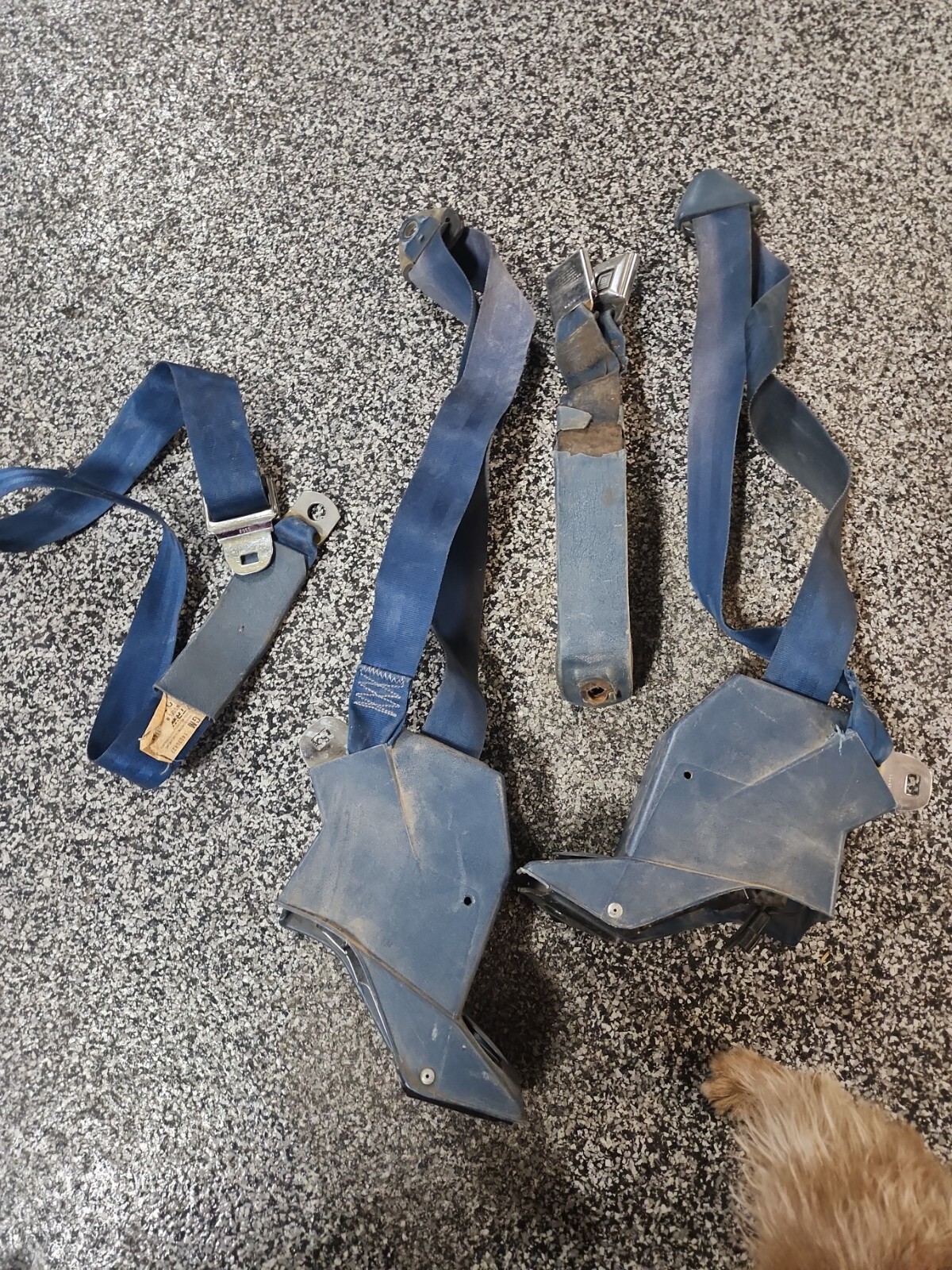 19811991 Chevy Squarebody C30 K30 Crew Cab & Suburban Front seat belts