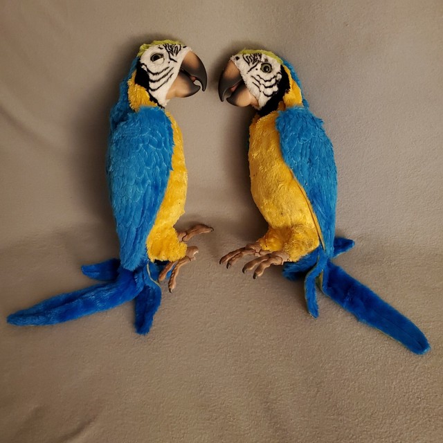 squawkers mccaw price