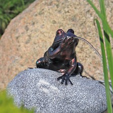 CLGarden Wasserspeier Frosch im Set NSP10E Wasserspiel Springbrunnen Gartenteich