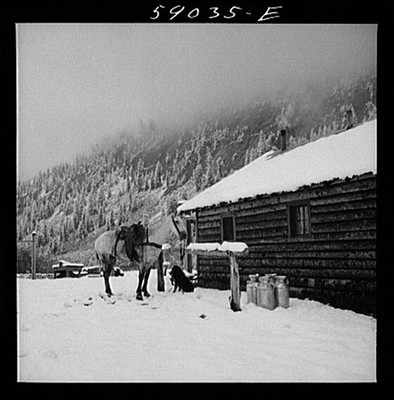Rocky Mountains Colorado Aspen Pitkin County 1935-1942 Horse Cabin Snow