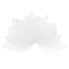 100-Pack Skeleton Leaves, Natural Rubber Tree Dried Pressed Leaves Vein for R...