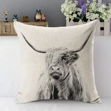 Cow Decorative Throw Pillow Cover Case Portrait of a Highland Cow Cattle Ox Horn