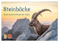 Calendar 2027 · US Version · Ibexes - Impressive Kings Of The Alps (Wall Calenda