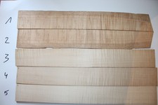 Riegelahorn Tiger Maple Griffbrett fretboard ...