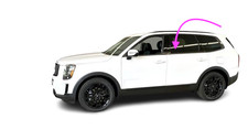 Fits: 2020-2025 Kia Telluride Driver Side Left Rear Door Window Glass