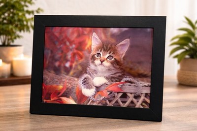 3D Katzenbild Lenticular   Schwarzer Holzrahmen   Neu   45×39 cm