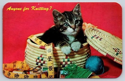 Vintage Postcard, Anyone for Knitting, Photo by Camera Clix, USA