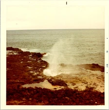 ORIGINAL 1970 Photo LOT(16) Hawaii: Kaui- Wailua River, Waimea Canyon, Flowers..