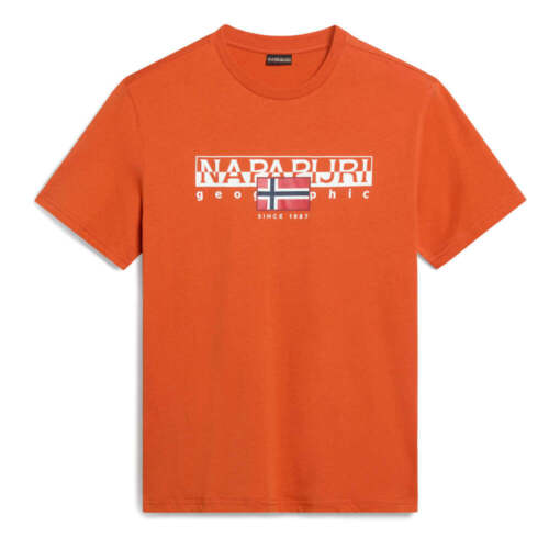 Napapijri Aylmer T-shirt z krótkim rękawem pomarańczowy spalony - Zdjęcie 1 z 11