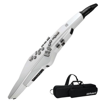 Roland Aerophone AE-20 Digital Wind Instrument for sale online | eBay