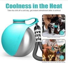 Dog Water Bottle Portable Pet Travel Stainless Steel Dispenser Bowl Outdoor US