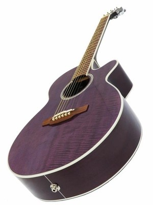 Takamine 100custom 12弦ギター オーダー品　ハードケース付き Takamine 100custom 12弦ギター オーダー品 ハードケース付き Takamine