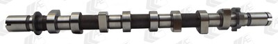 AE CAM983 Camshaft for Dacia, Mahindra, Mahindra Renault, Mercedes-Benz, Nissan, Rena