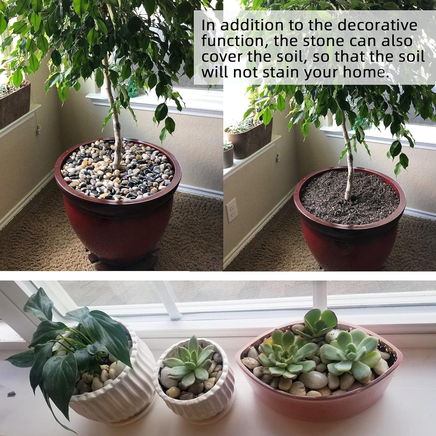 CJGQ Pebbles for Plants 3 lb Natural Garden Decorative Stone Outdoor 3LB 