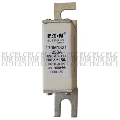 NEW   170M1321 Fuse   690V 250A #A6-42.