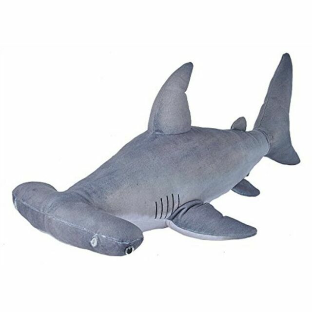 shark cuddly toy