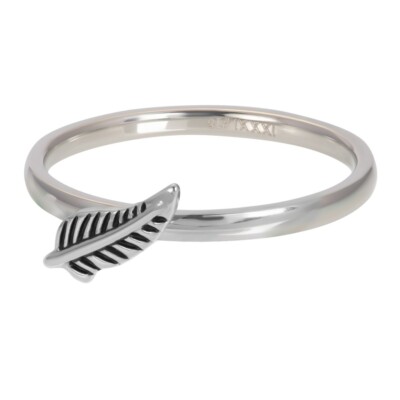 iXXXi Füllring SYMBOLRING FEATHER silber - 2 mm