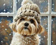 8x10 Matte Print Maltese Dog in Hat in Snowy Backdrop