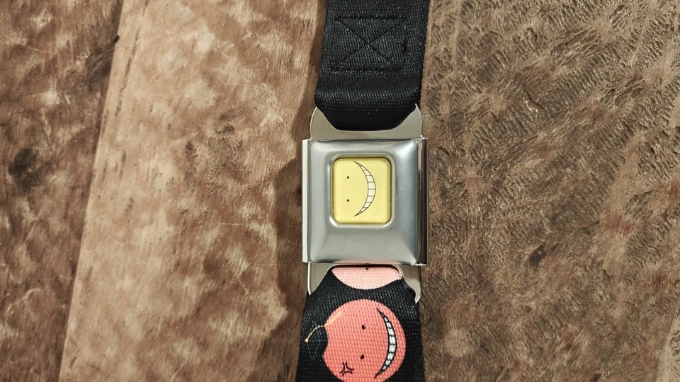 Cinturón de seguridad con hebilla ajustable para aula Foto 2 de 4