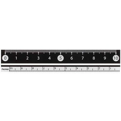 RF Easy-to-Read White and Black Ruler, 10cm, Black, APJ128B, 2 Pieces