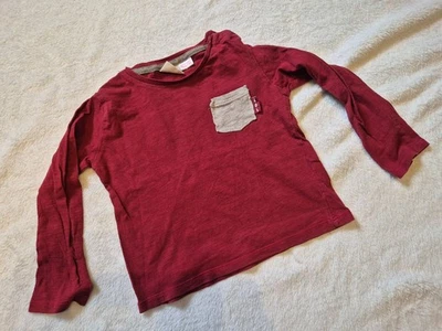 Langarmshirt Shirt, Jungen, Zara Baby, Größe 98 - Bild 1 von 2