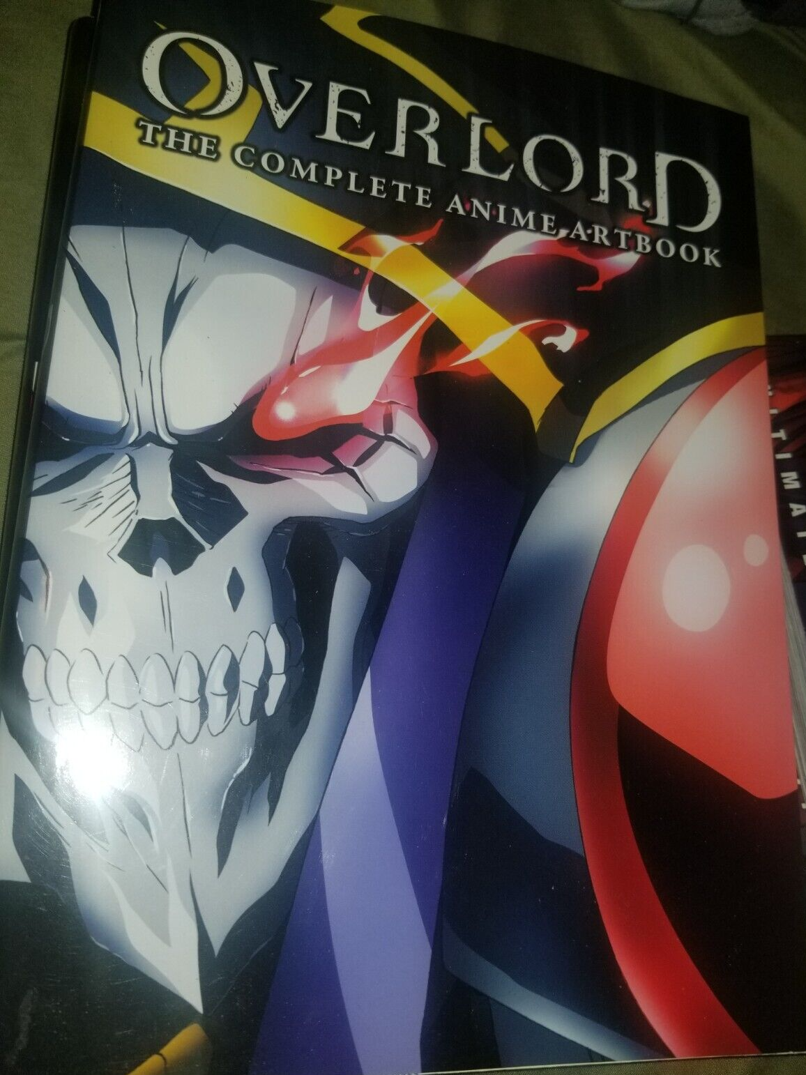 Overlord, Animes Brasil - Mangás & Novels